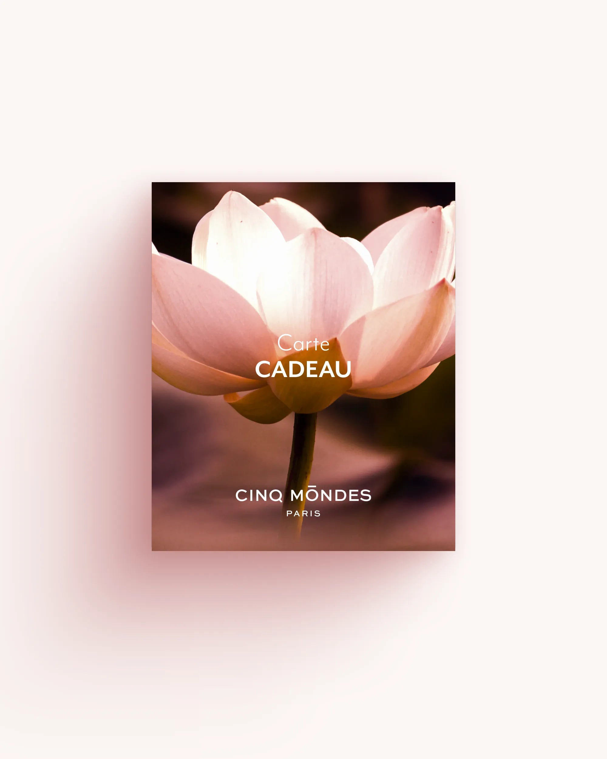 Carte cadeau Cinq Mondes