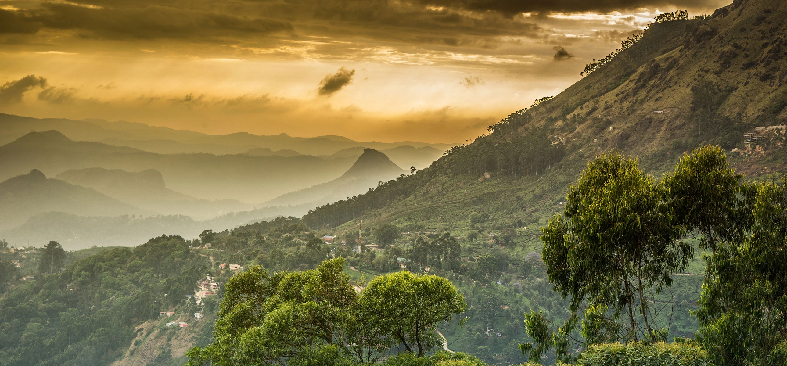 Le Rituel de Bengalore : un voyage sensoriel inspiré de l’Ayurvéda