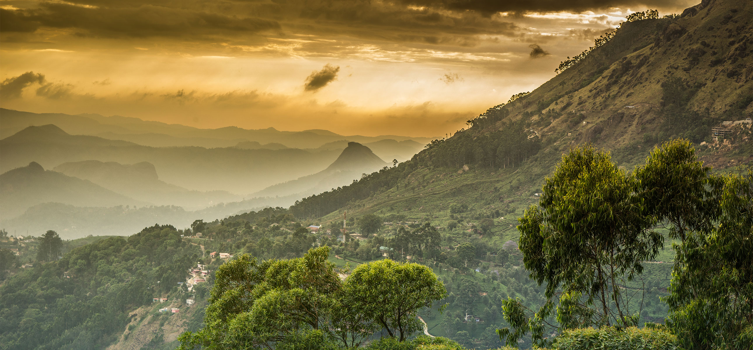Le Rituel de Bengalore : un voyage sensoriel inspiré de l’Ayurvéda